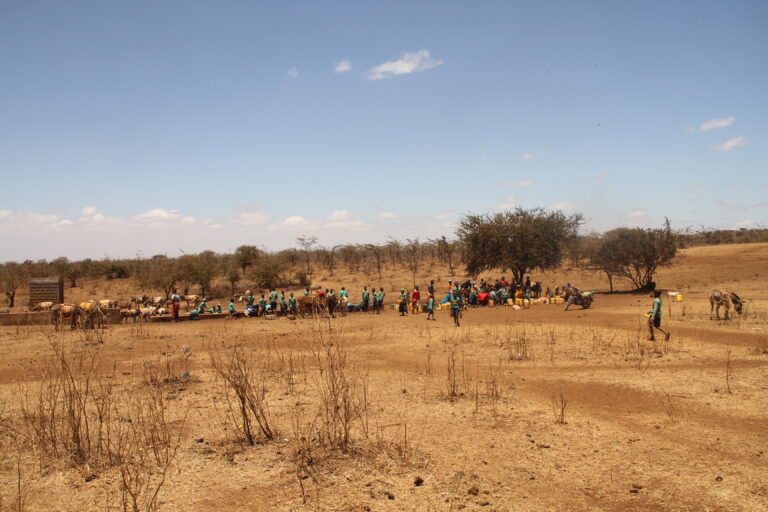 Read more about the article Deadly Drought: How the East African Drought is Devastating Kenya