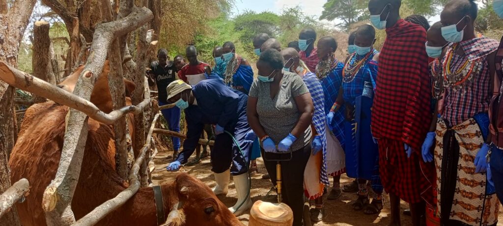 livestock farmers learning to spray animals