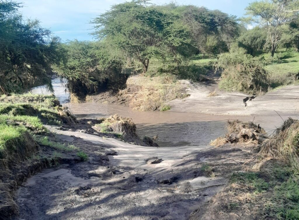 flood from rain changes the landscape